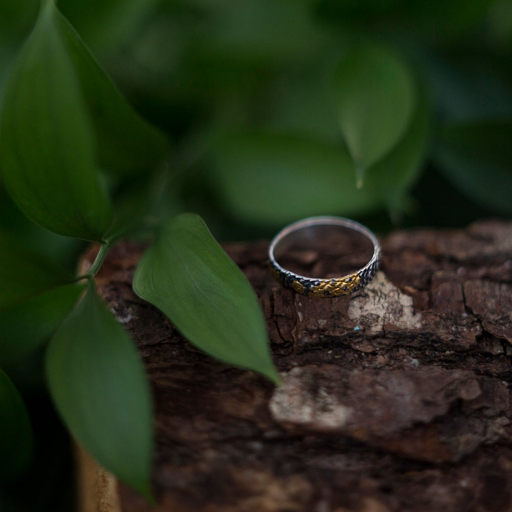 Gold scale Ring