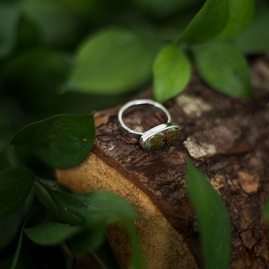 Horizon Turquoise Ring - American Turquoise